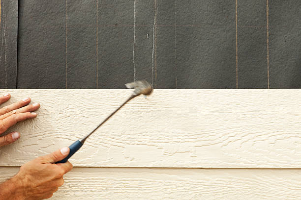 Best Siding Removal and Disposal  in Anacoco, LA